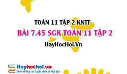 Bài 7.45 SGK Toán 11 Tập 2 Kết nối tri thức
